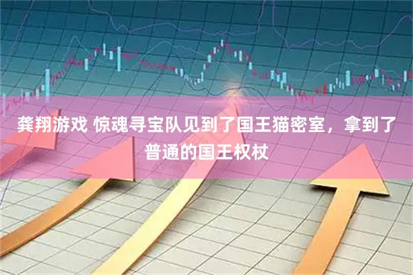 龚翔游戏 惊魂寻宝队见到了国王猫密室，拿到了普通的国王权杖