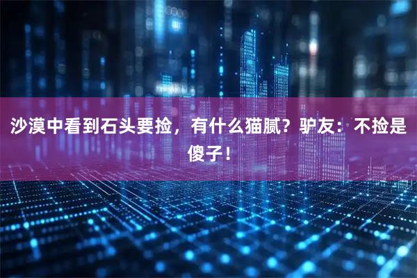 沙漠中看到石头要捡，有什么猫腻？驴友：不捡是傻子！