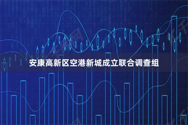 安康高新区空港新城成立联合调查组