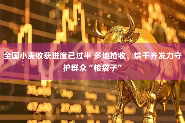 全国小麦收获进度已过半 多地抢收、烘干齐发力守护群众“粮袋子”