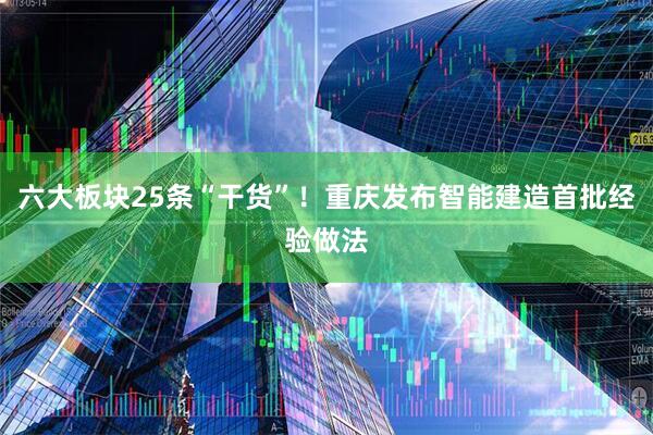 六大板块25条“干货”!重庆发布智能建造首批经验做法
