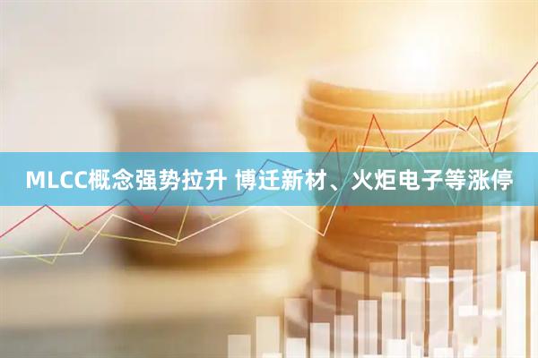 MLCC概念强势拉升 博迁新材、火炬电子等涨停