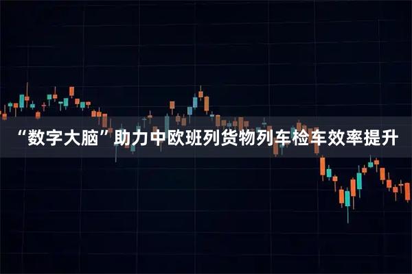 “数字大脑”助力中欧班列货物列车检车效率提升